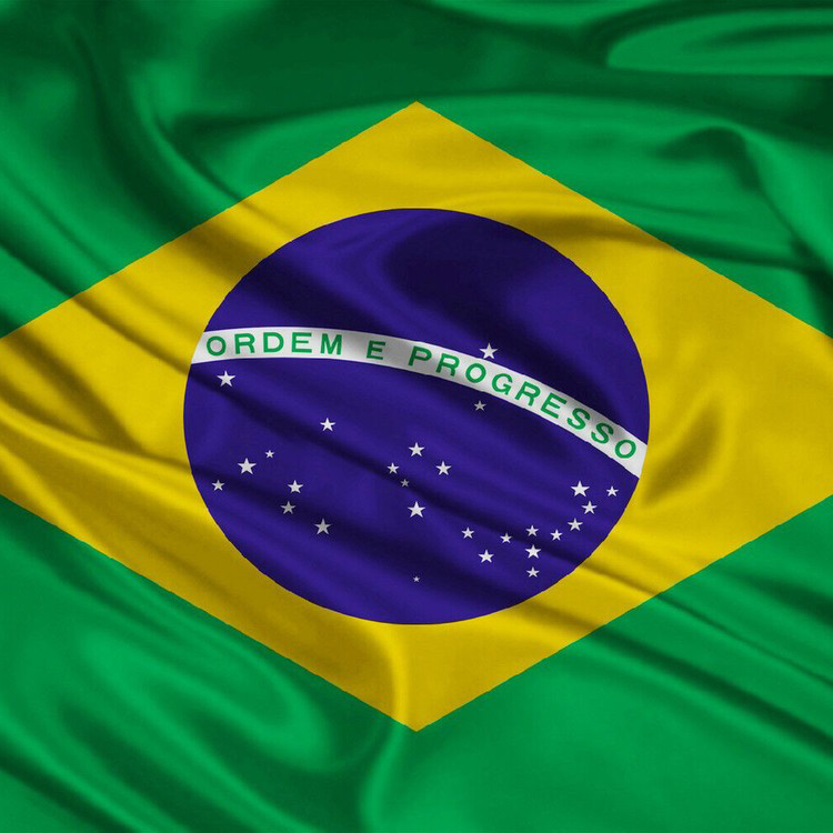 Brazil Flag