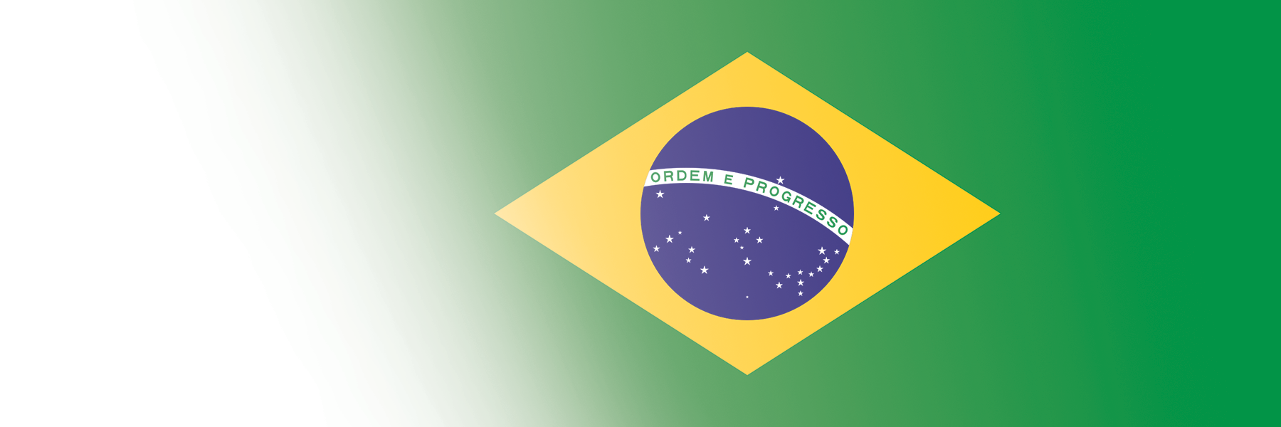 Global Alumni Ambassadors: Brazil