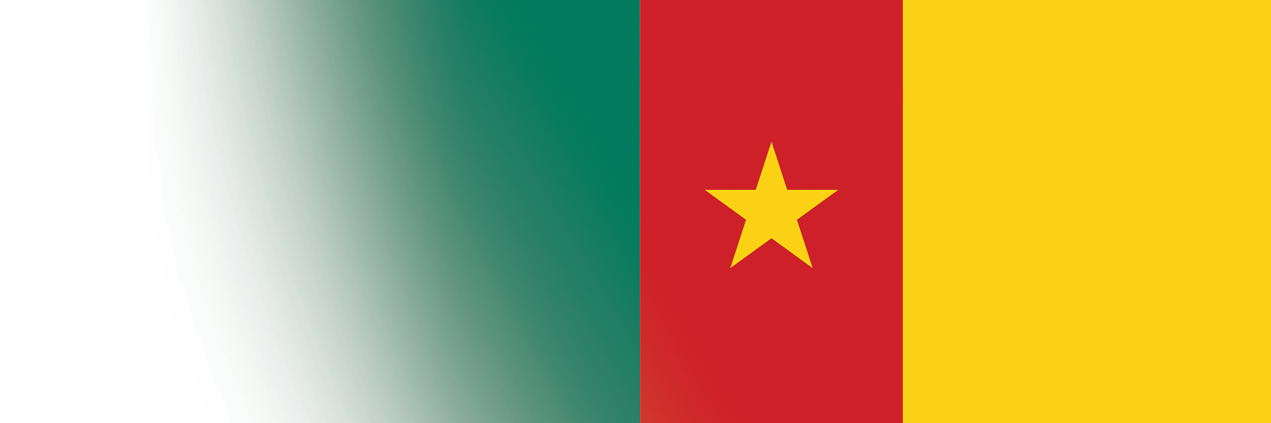 Global Alumni Ambassadors: Cameroon