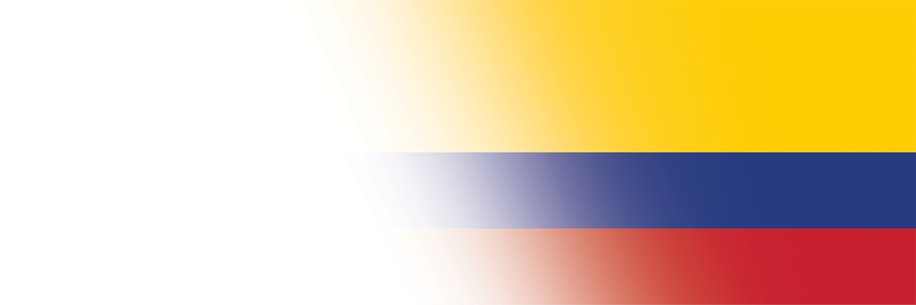 Global Alumni Ambassadors: Colombia