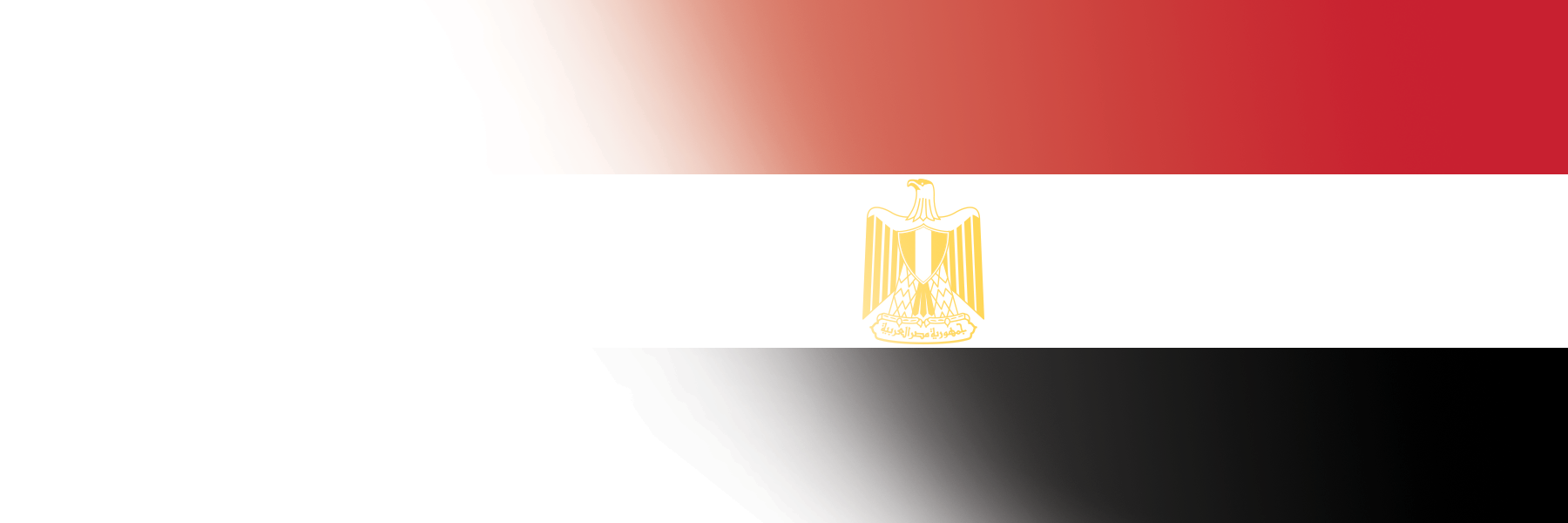 Global Alumni Ambassadors: Egypt