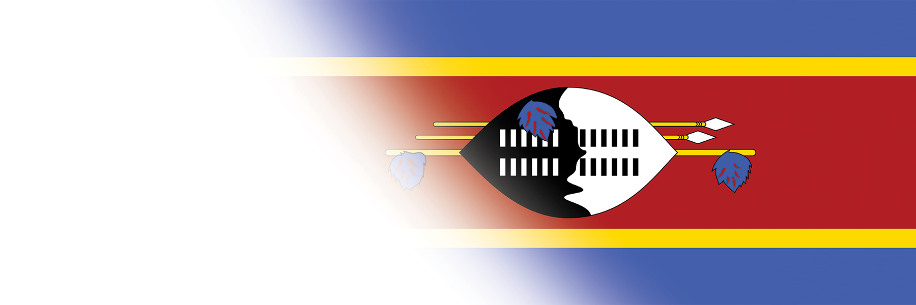 Global Alumni Ambassadors: Eswatini