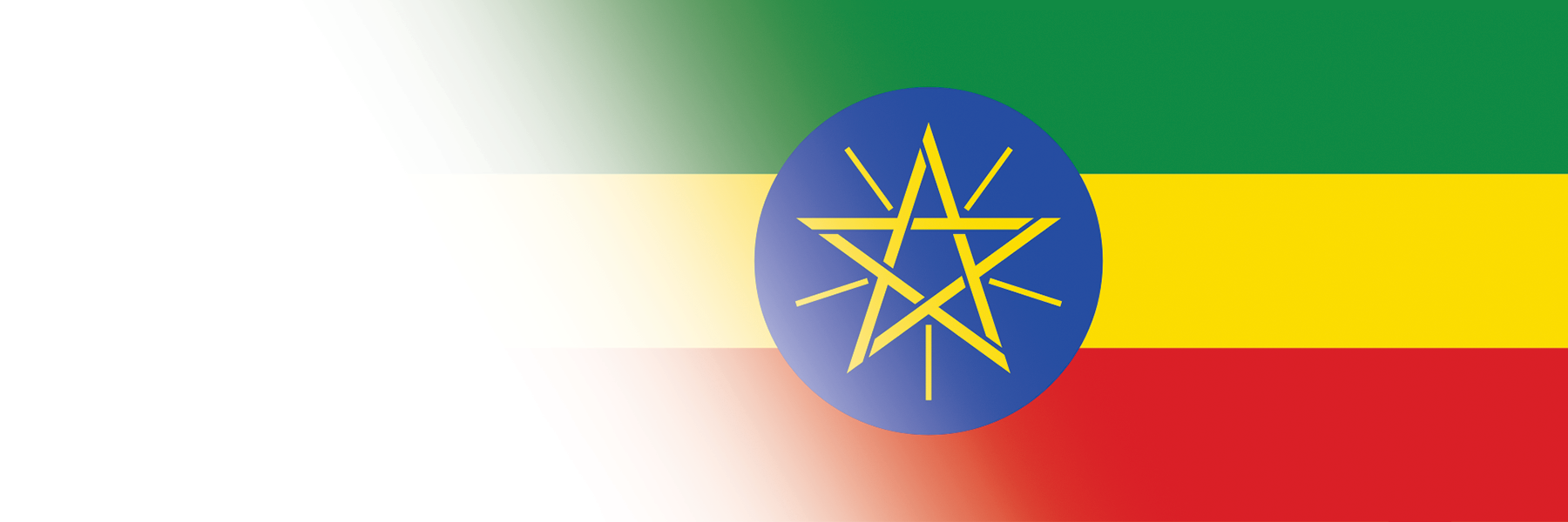 Global Alumni Ambassadors: Ethiopia