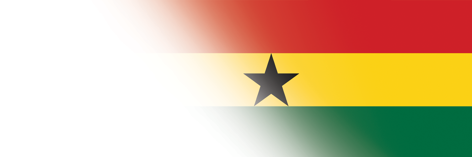 Global Alumni Ambassadors: Ghana