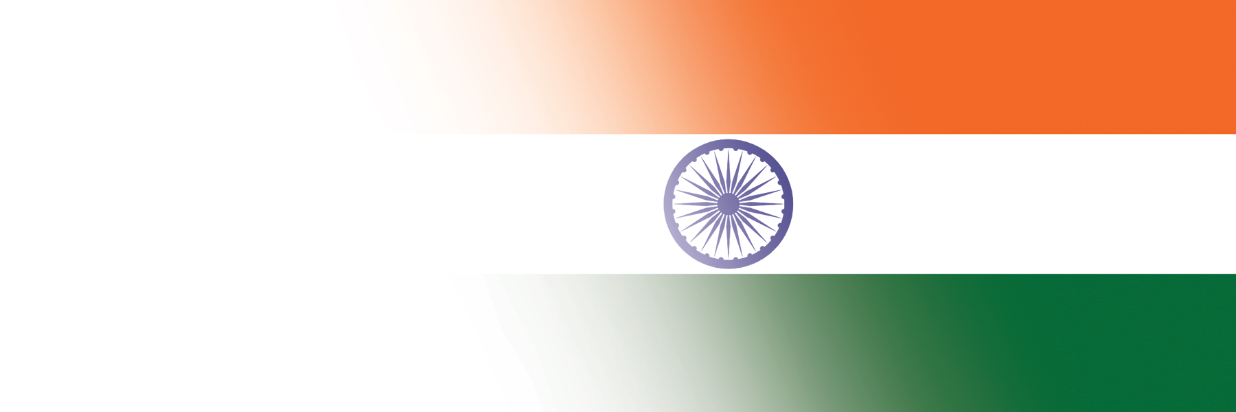Global Alumni Ambassadors: India