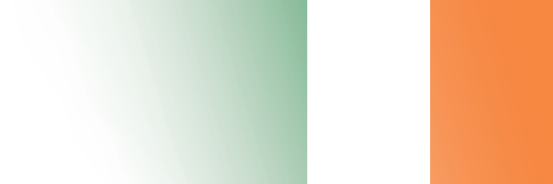 Global Alumni Ambassadors: Ireland