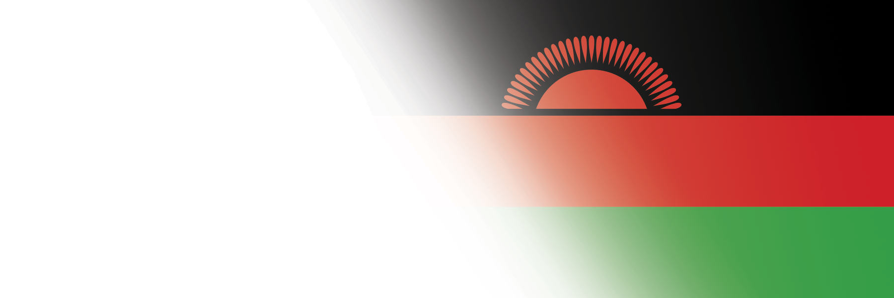 Global Alumni Ambassadors: Malawi