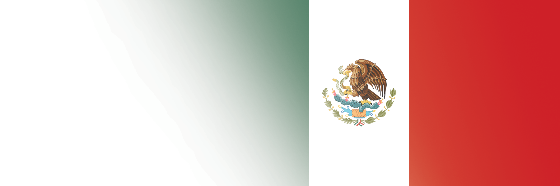Global Alumni Ambassadors: Mexico