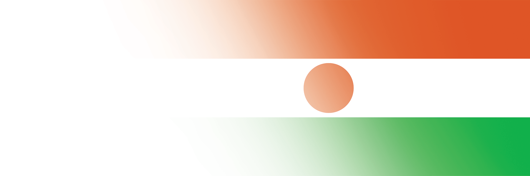 Global Alumni Ambassadors: Niger