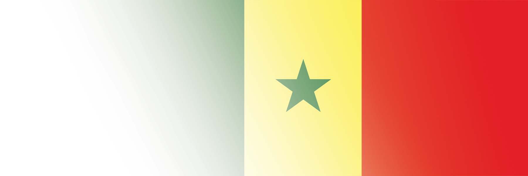 Global Alumni Ambassadors: Senegal