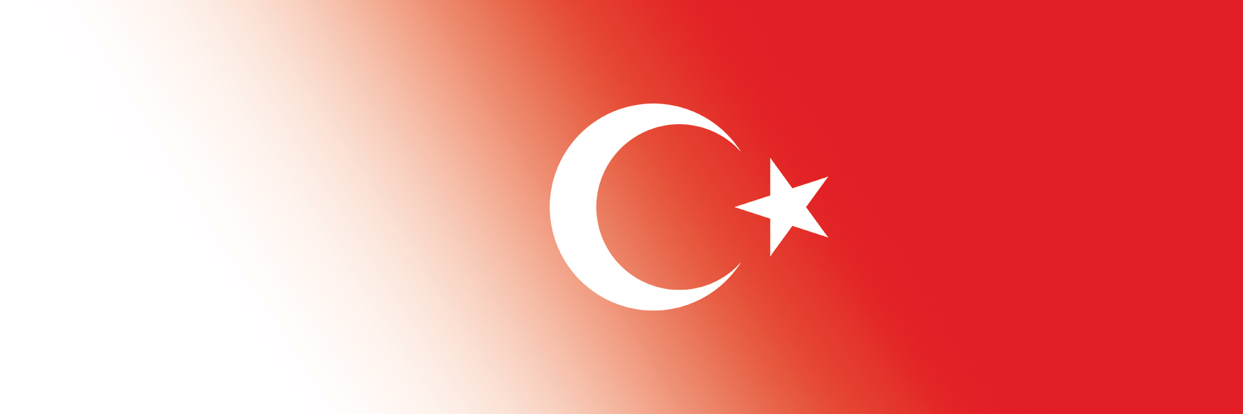 Global Alumni Ambassadors: Turkey
