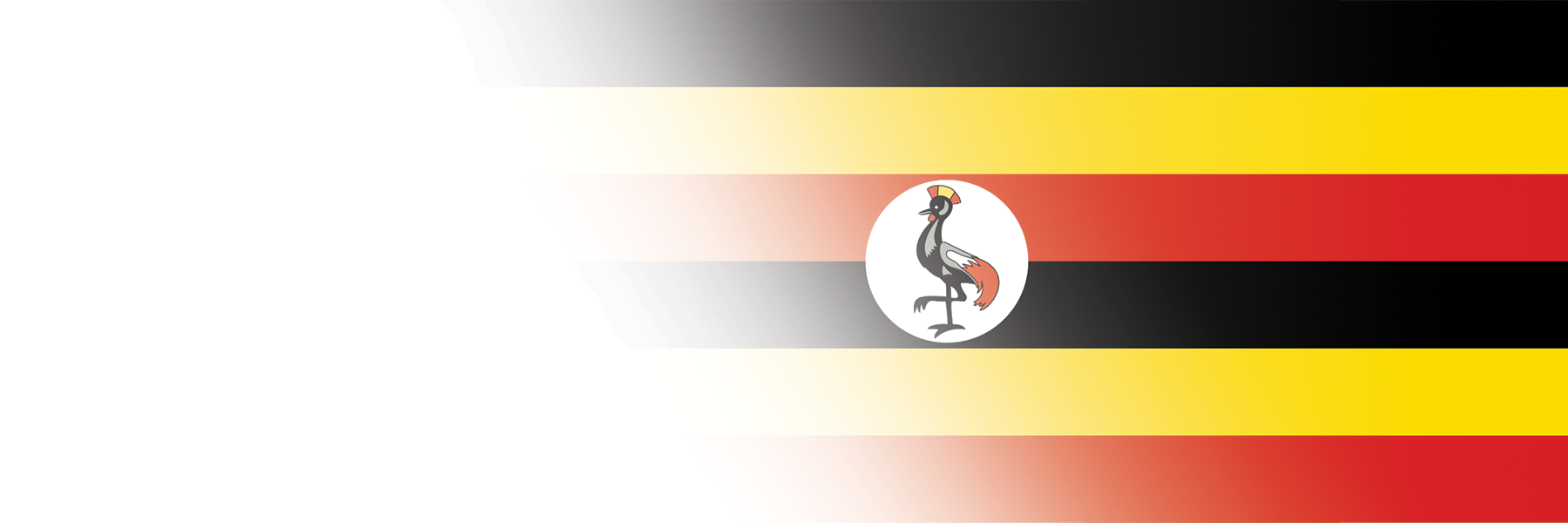 Global Alumni Ambassadors: Uganda