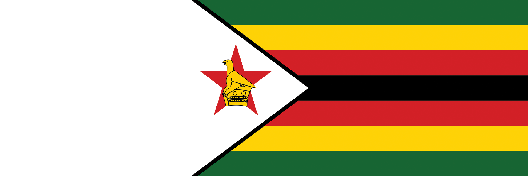 Global Alumni Ambassadors: Zimbabwe