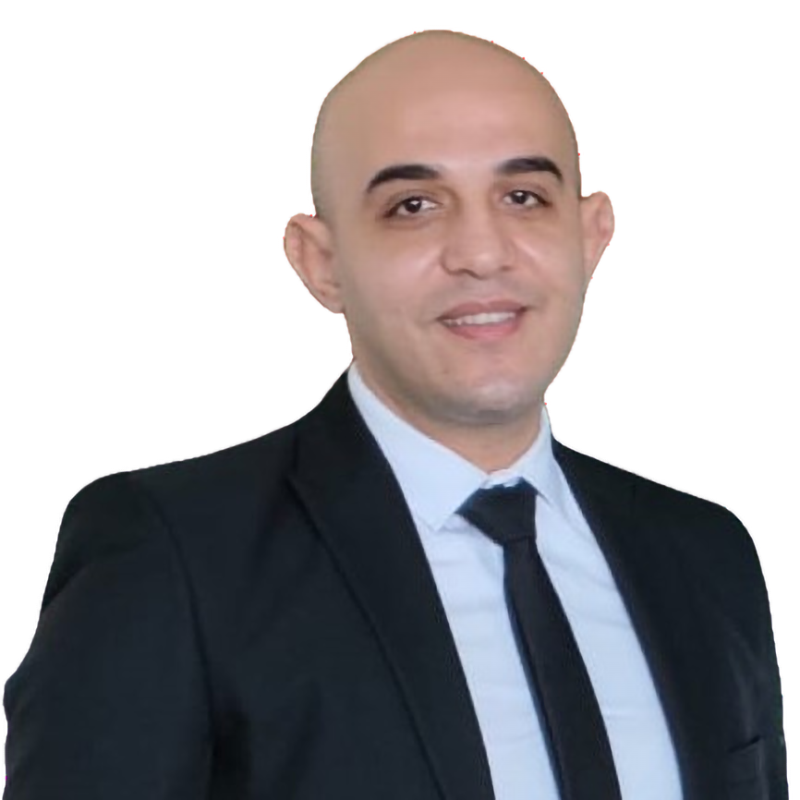 Mahmoud Elhemaly Mohamed