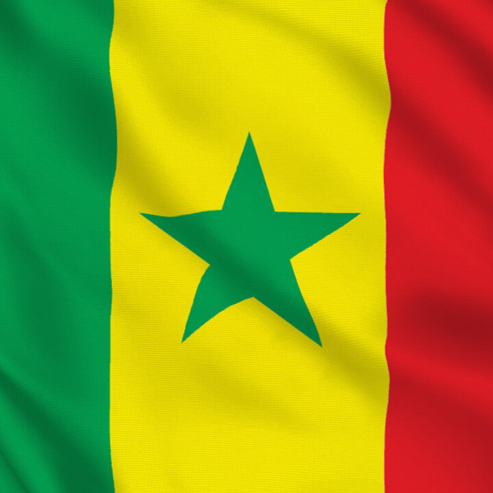Senegal Flag